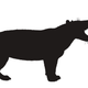 Simbakubwa kutokaafrika with human to scale.